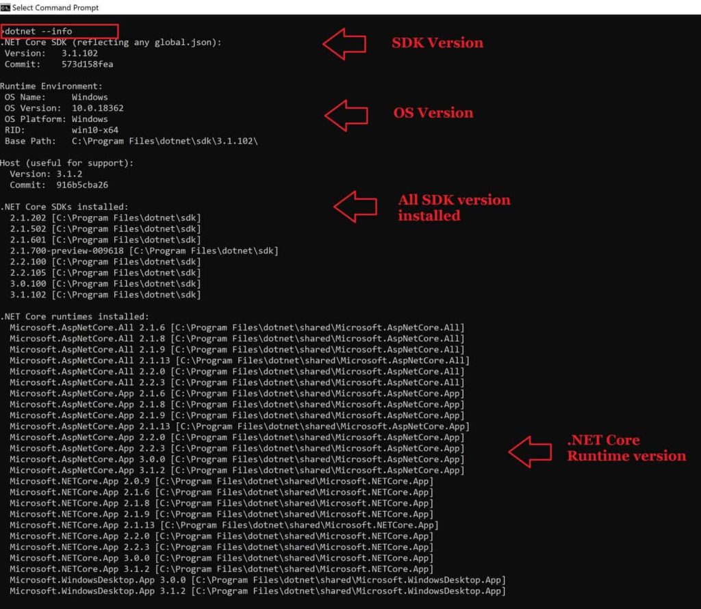 how to determine if net core is installed