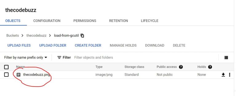 Upload, Download file Google Storage Bucket using gsutil - TheCodeBuzz