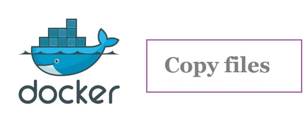 How to Copy Files from Docker Container to Host