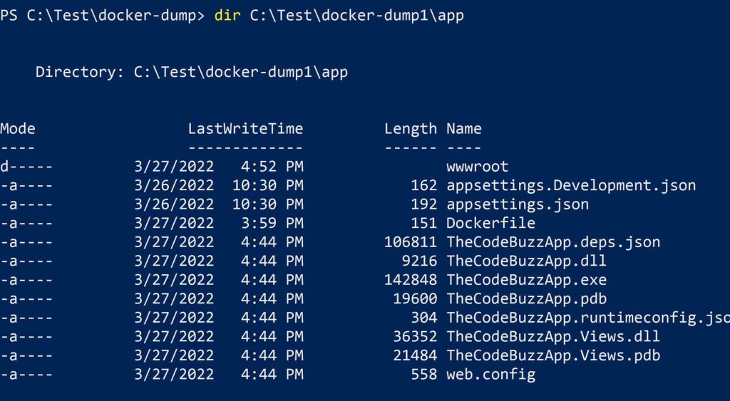 Copy Files from Docker Container to Host